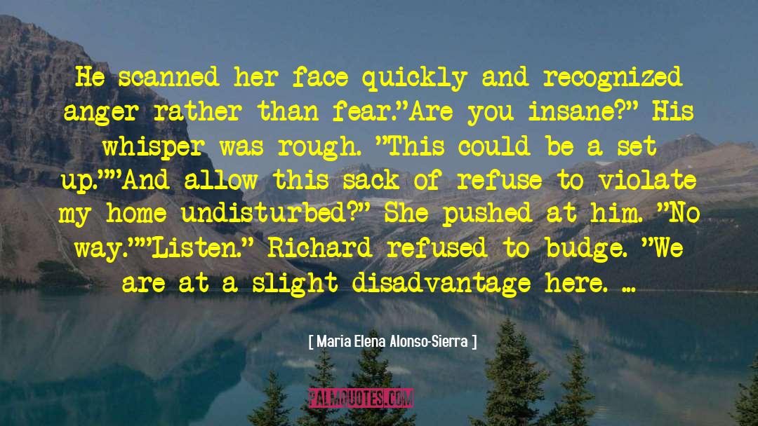 Maria Elena Alonso-Sierra Quotes: He scanned her face quickly