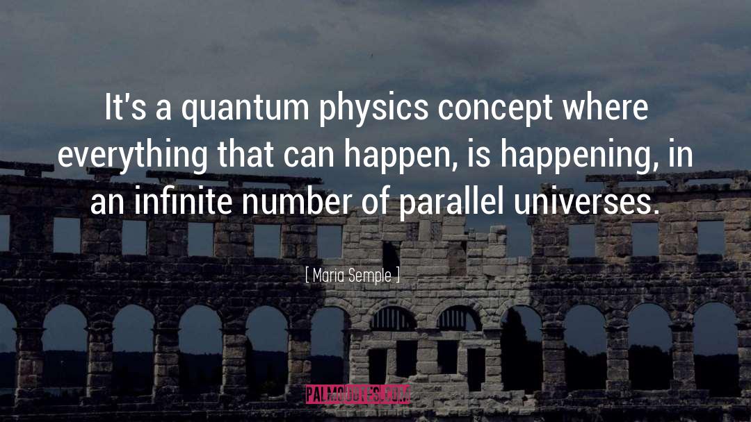 Maria Semple Quotes: It's a quantum physics concept