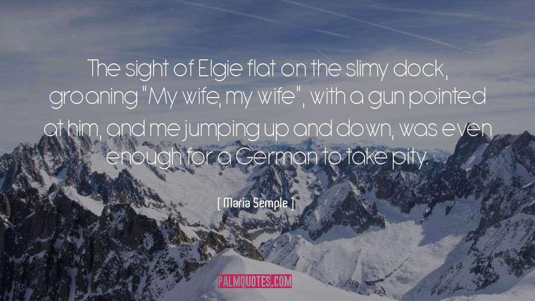 Maria Semple Quotes: The sight of Elgie flat