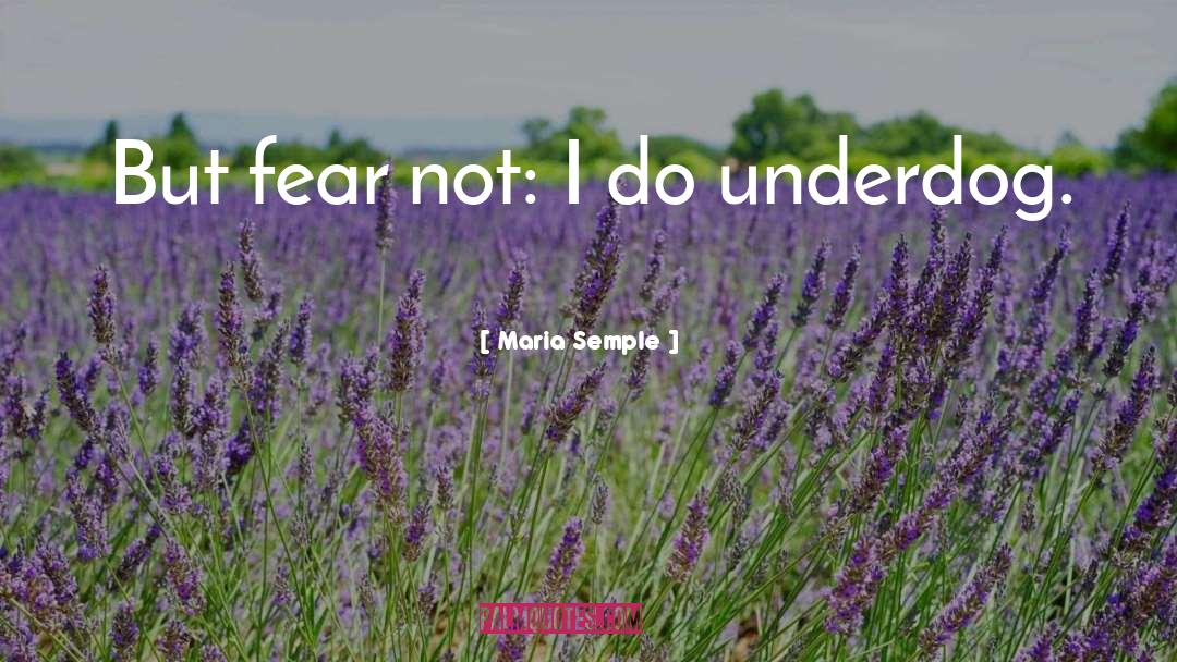 Maria Semple Quotes: But fear not: I do
