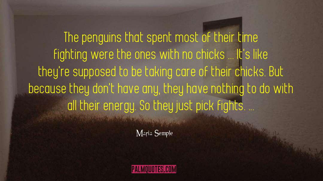 Maria Semple Quotes: The penguins that spent most