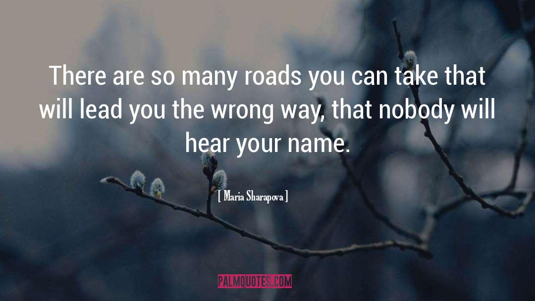 Maria Sharapova Quotes: There are so many roads