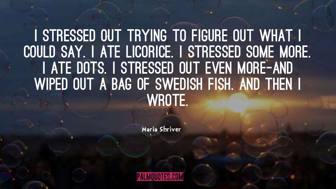 Maria Shriver Quotes: I stressed out trying to