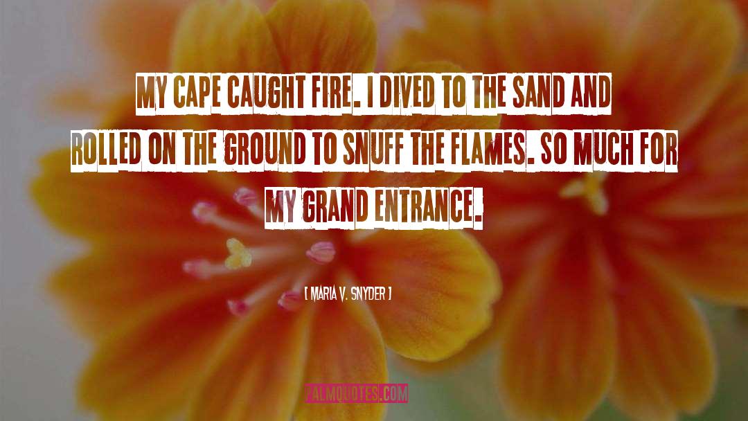 Maria V. Snyder Quotes: My cape caught fire. I