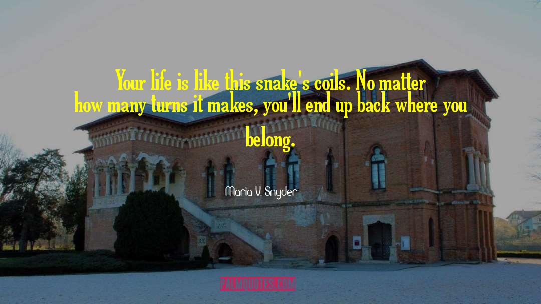 Maria V. Snyder Quotes: Your life is like this