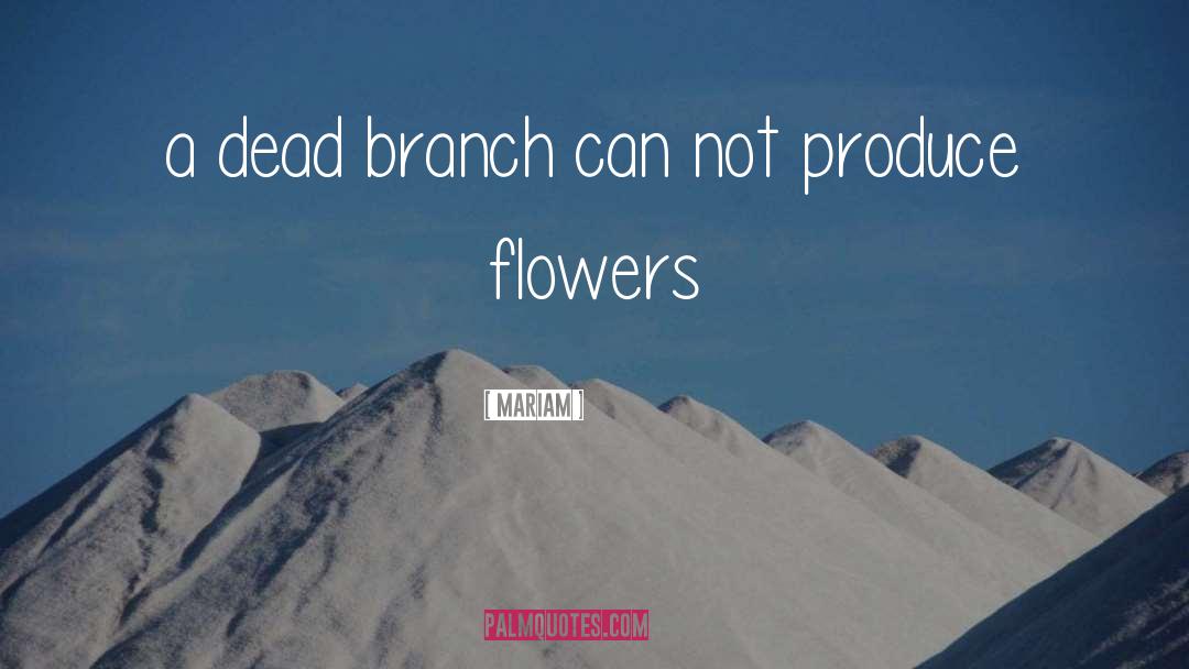 Mariam Quotes: a dead branch can not