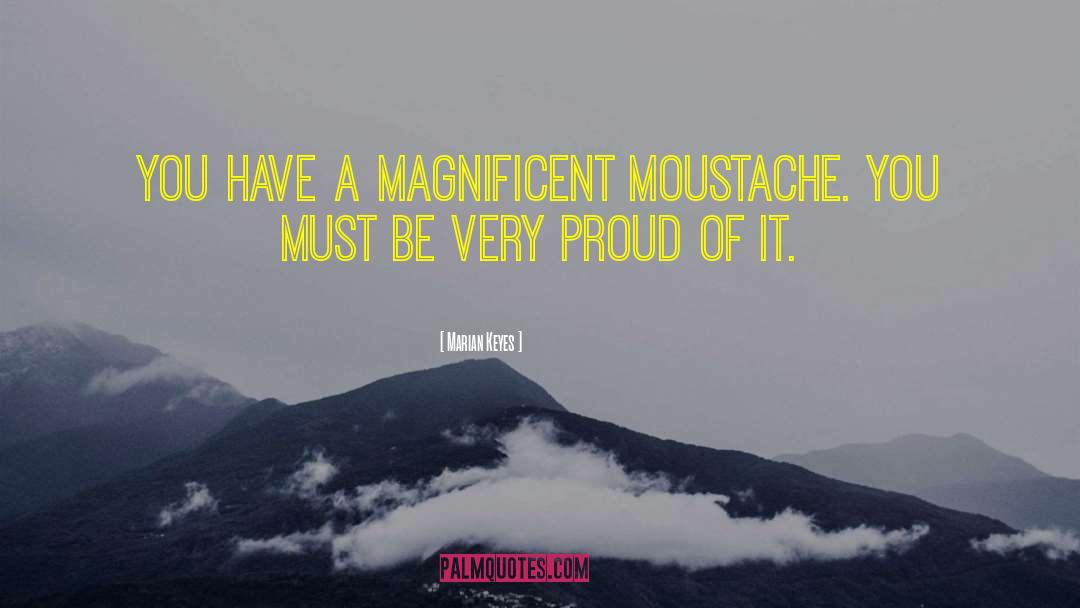 Marian Keyes Quotes: You have a magnificent moustache.
