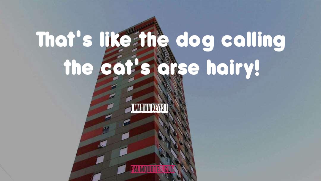 Marian Keyes Quotes: That's like the dog calling
