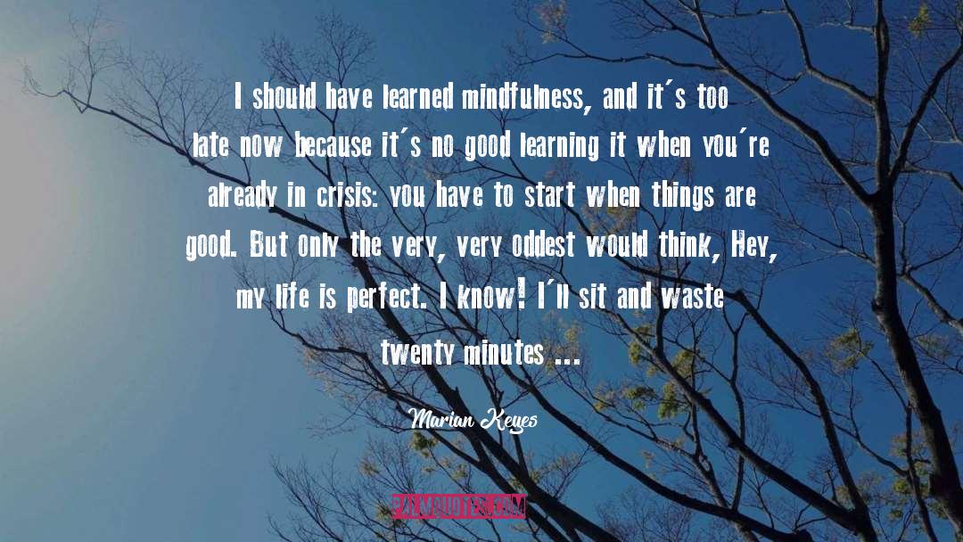 Marian Keyes Quotes: I should have learned mindfulness,