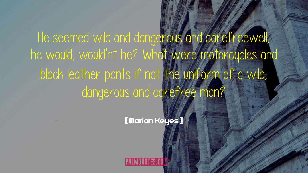 Marian Keyes Quotes: He seemed wild and dangerous