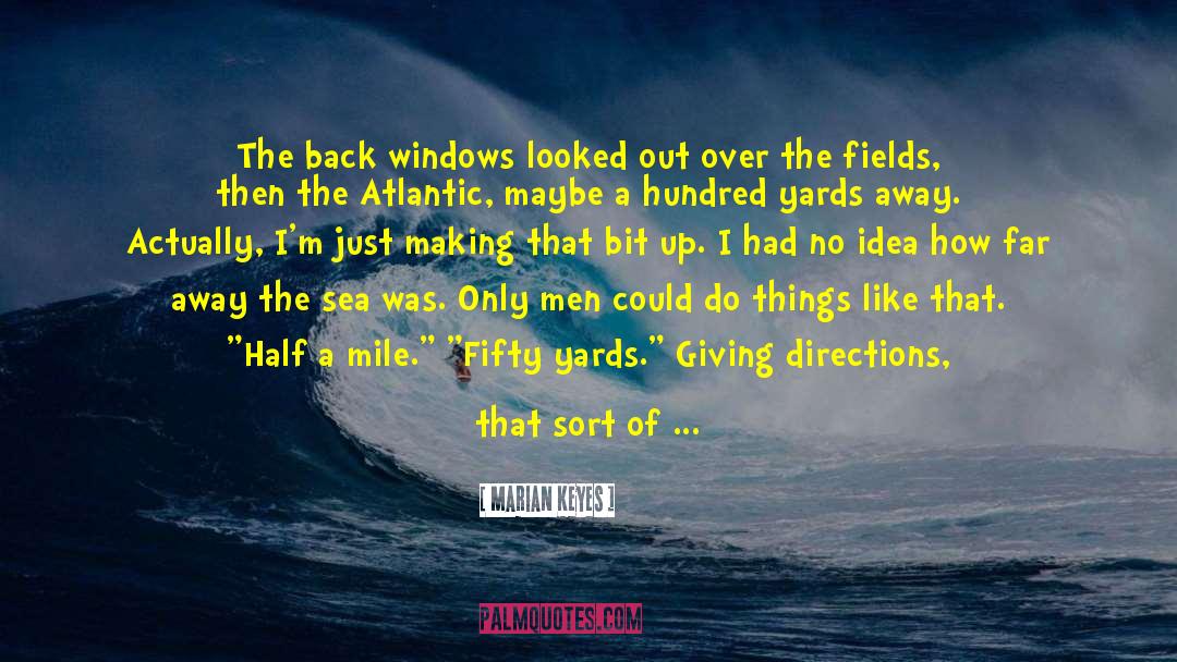 Marian Keyes Quotes: The back windows looked out