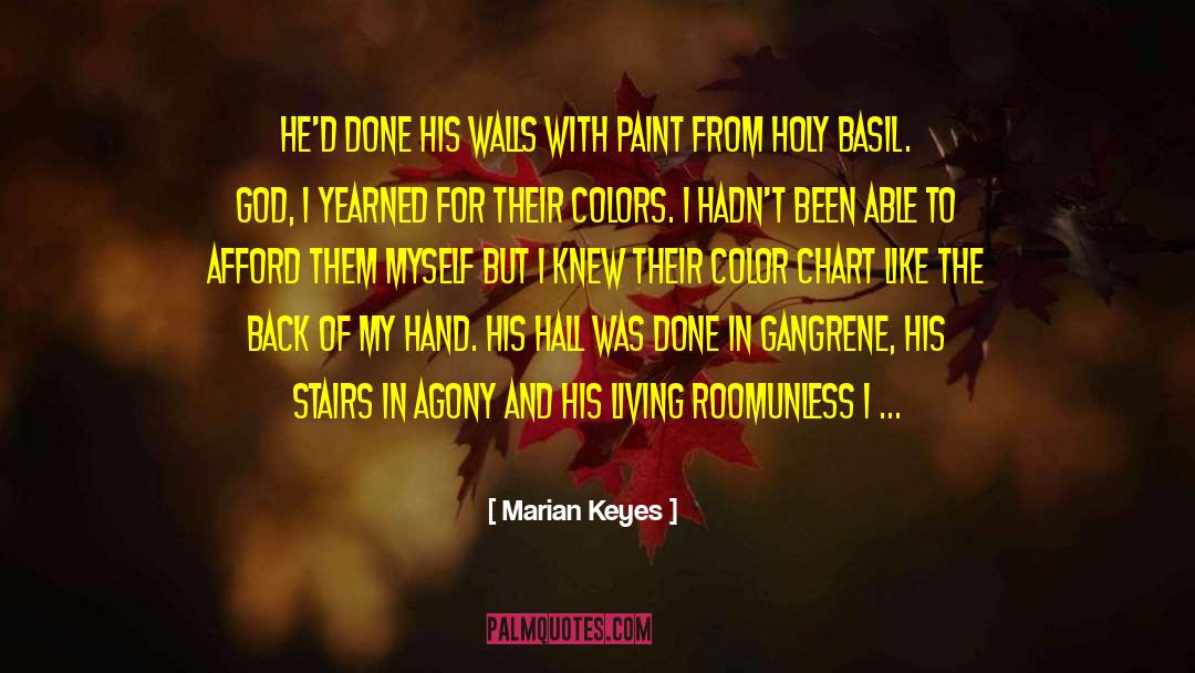Marian Keyes Quotes: He'd done his walls with