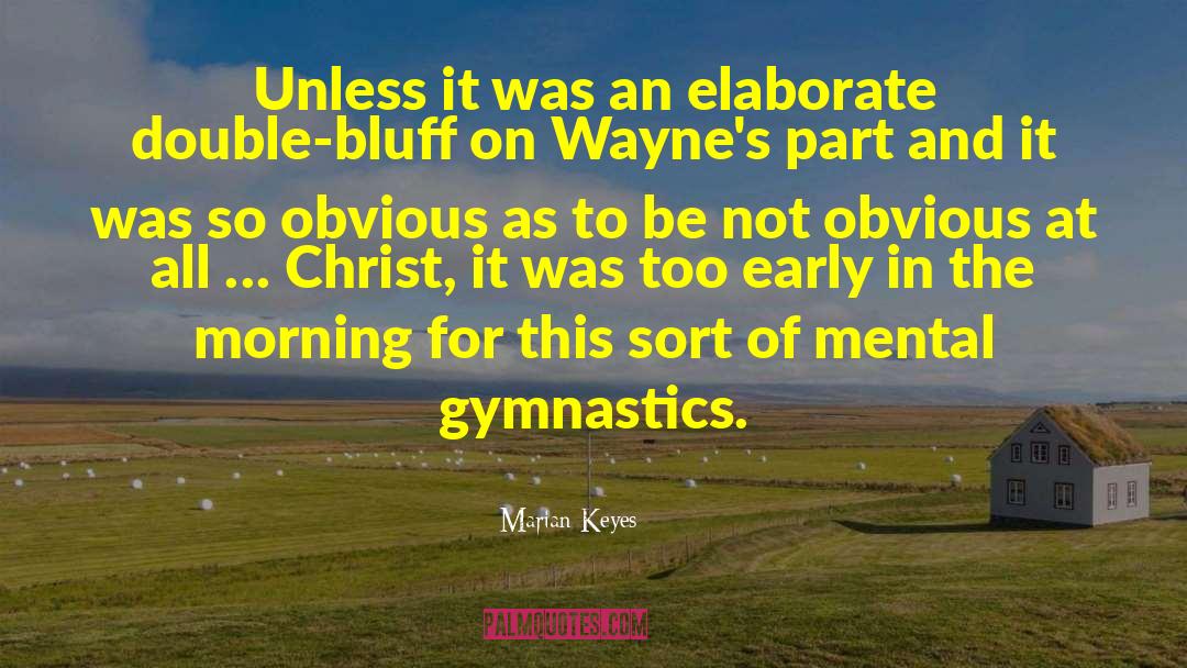 Marian Keyes Quotes: Unless it was an elaborate