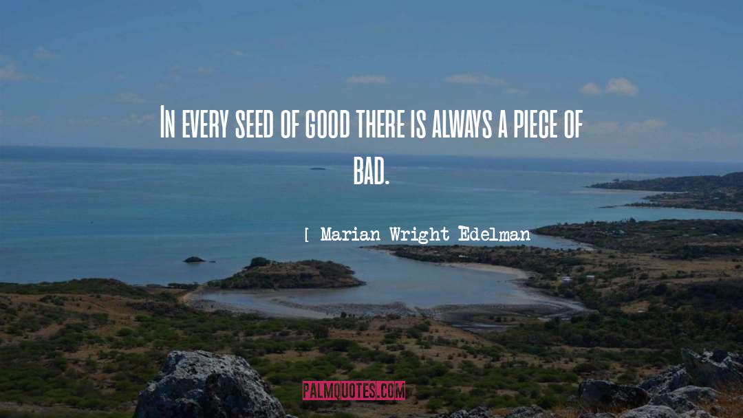 Marian Wright Edelman Quotes: In every seed of good