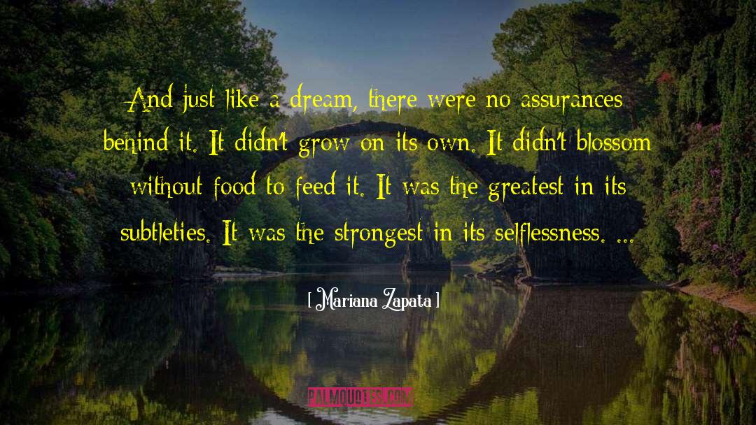 Mariana Zapata Quotes: And just like a dream,
