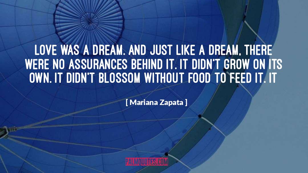 Mariana Zapata Quotes: love was a dream. And