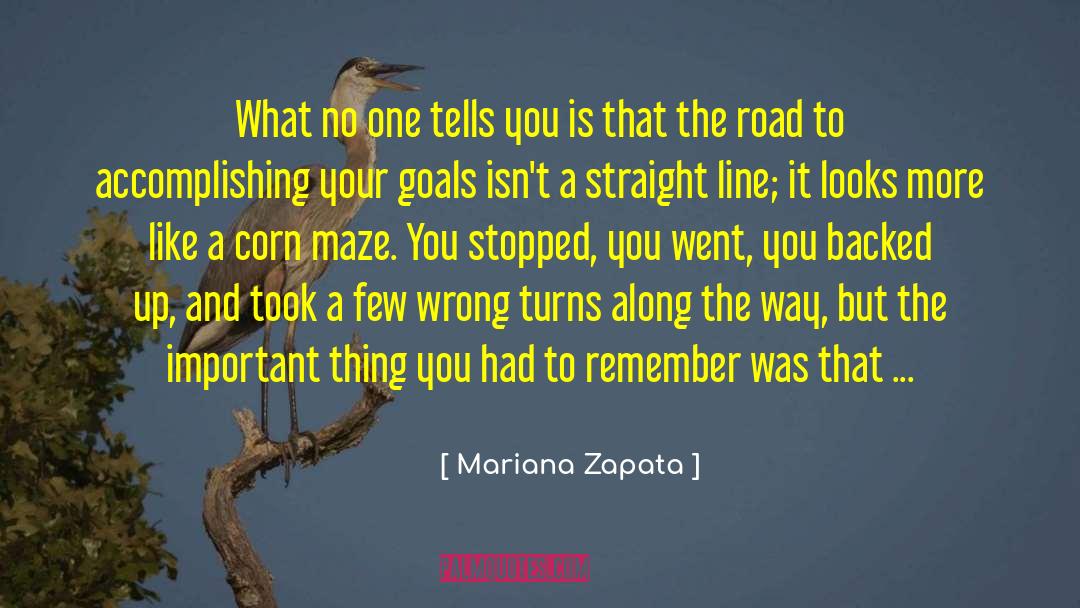 Mariana Zapata Quotes: What no one tells you