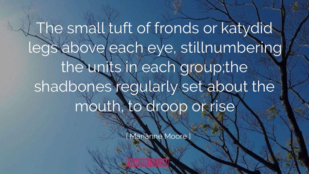 Marianne Moore Quotes: The small tuft of fronds