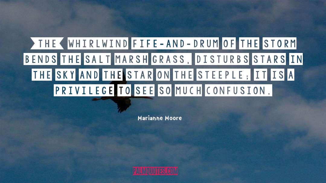 Marianne Moore Quotes: [The] whirlwind fife-and-drum of the