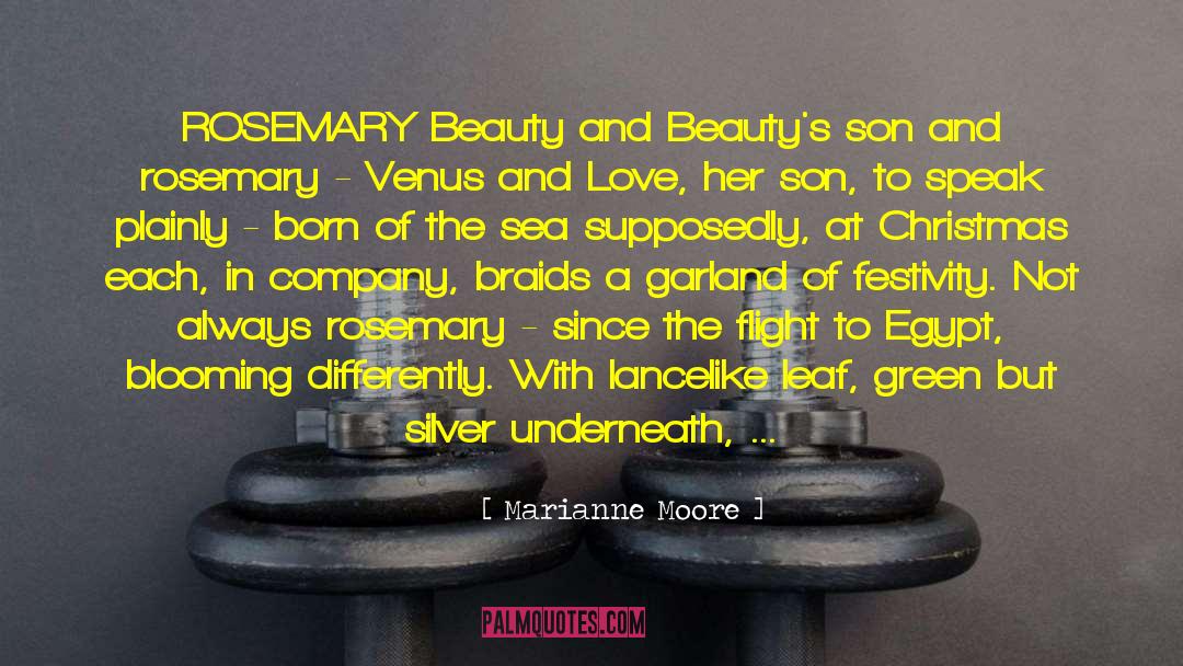 Marianne Moore Quotes: ROSEMARY <br />Beauty and Beauty's