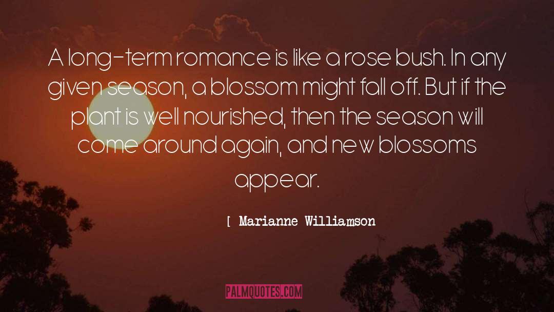 Marianne Williamson Quotes: A long-term romance is like