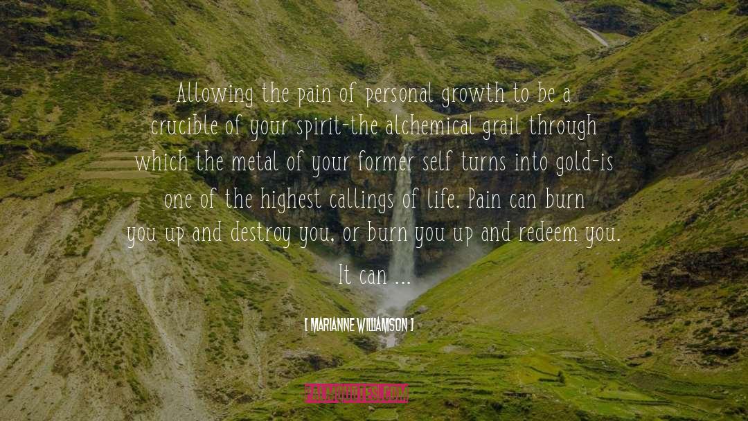 Marianne Williamson Quotes: Allowing the pain of personal