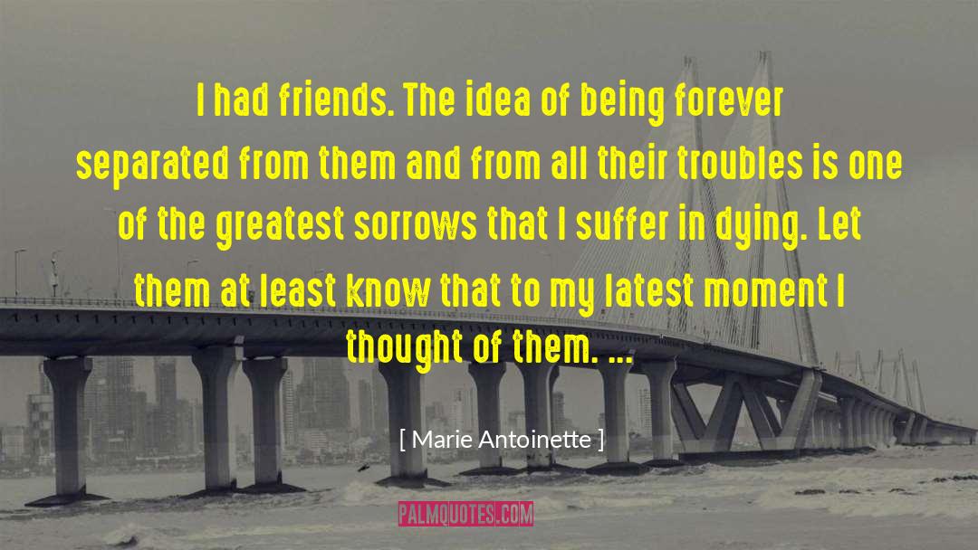 Marie Antoinette Quotes: I had friends. The idea