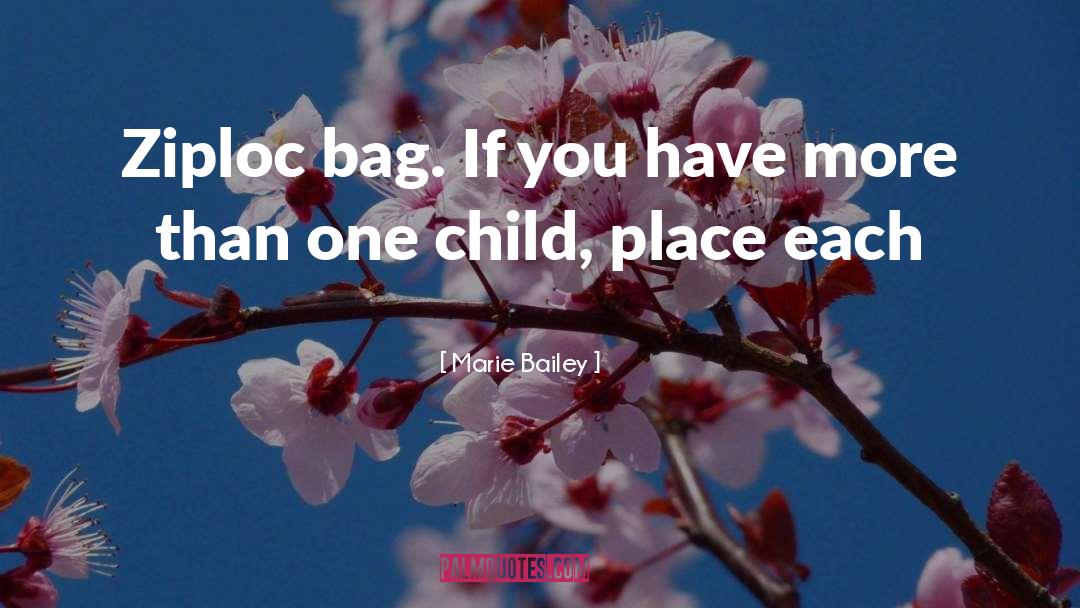 Marie Bailey Quotes: Ziploc bag. If you have