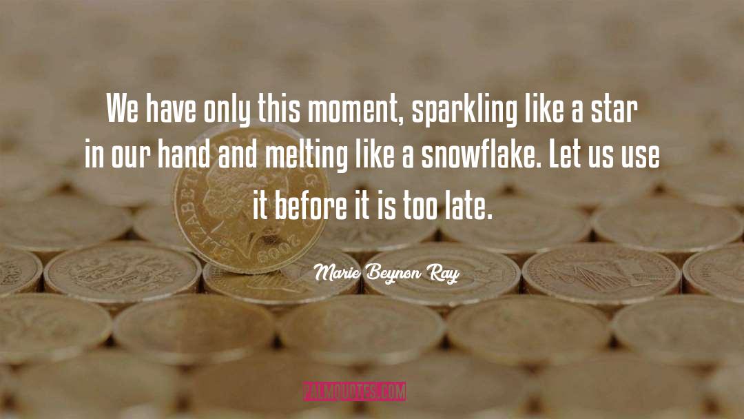 Marie Beynon Ray Quotes: We have only this moment,