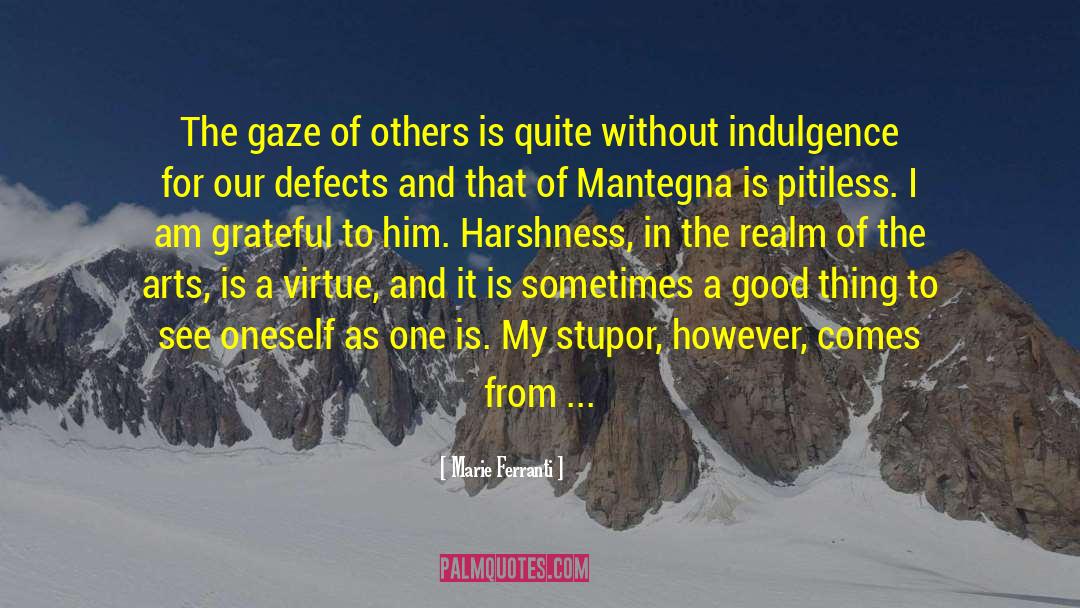 Marie Ferranti Quotes: The gaze of others is