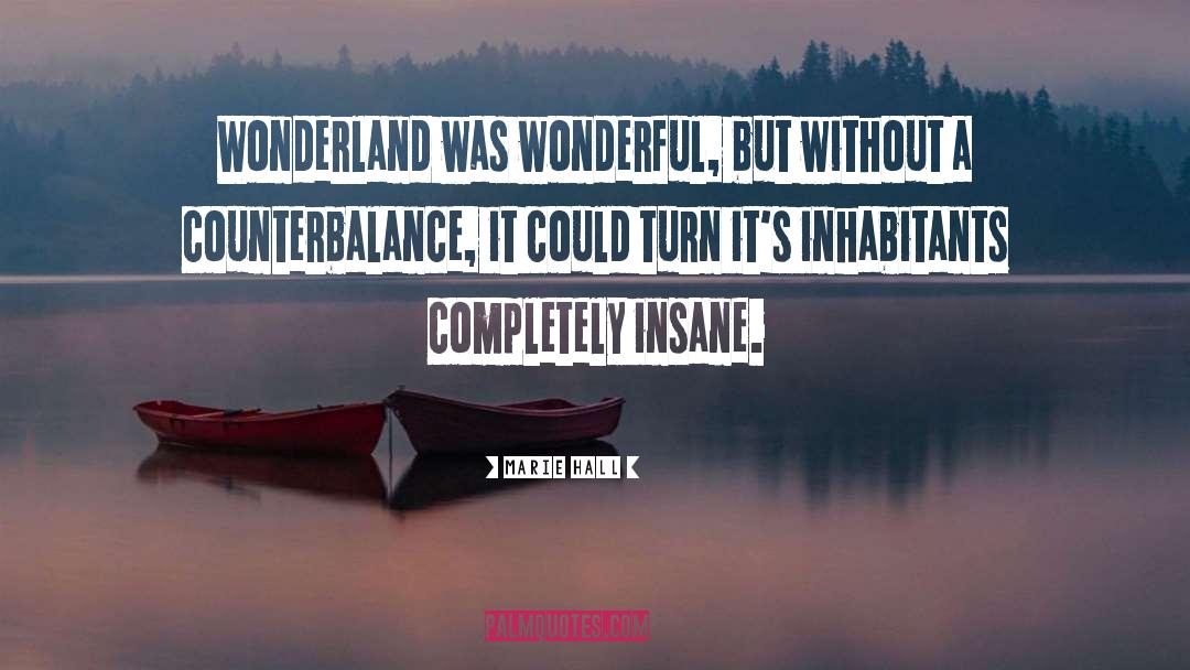 Marie Hall Quotes: Wonderland was wonderful, but without