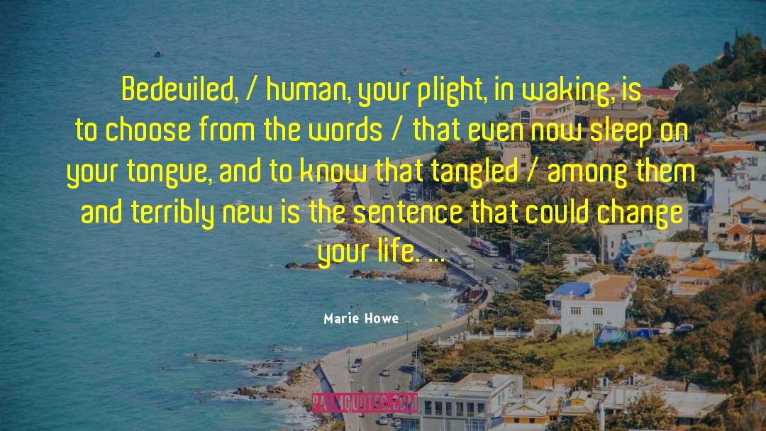 Marie Howe Quotes: Bedeviled, / human, your plight,