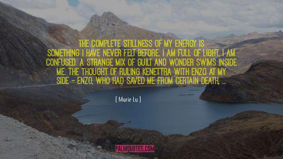 Marie Lu Quotes: The complete stillness of my