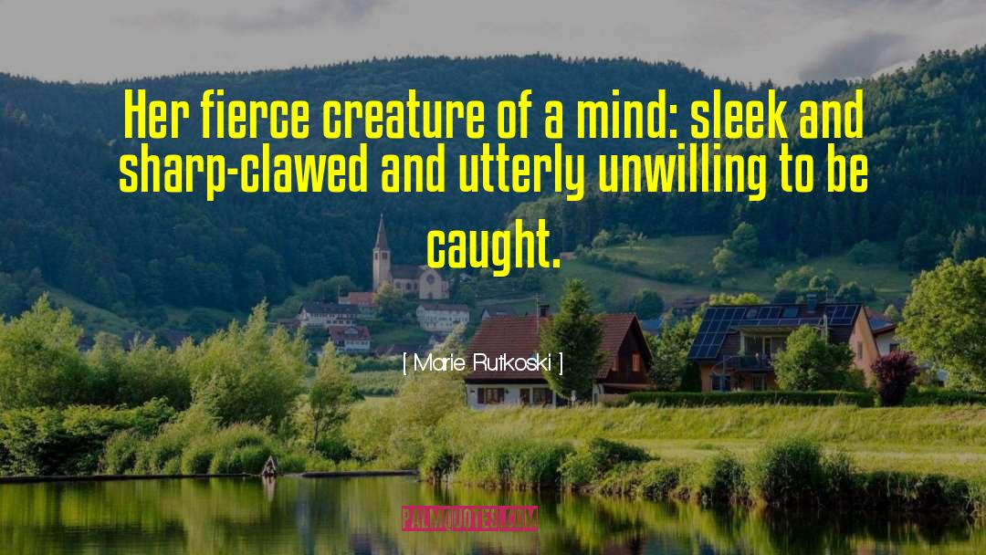 Marie Rutkoski Quotes: Her fierce creature of a