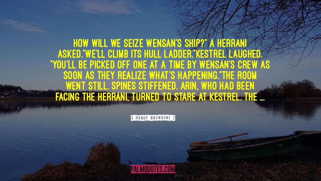 Marie Rutkoski Quotes: How will we seize Wensan's