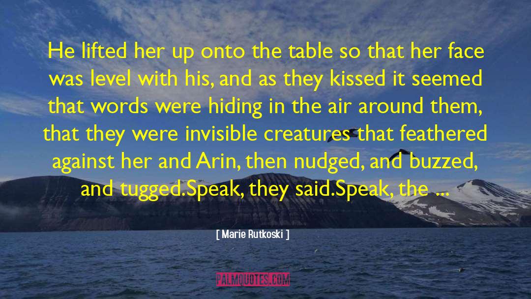 Marie Rutkoski Quotes: He lifted her up onto