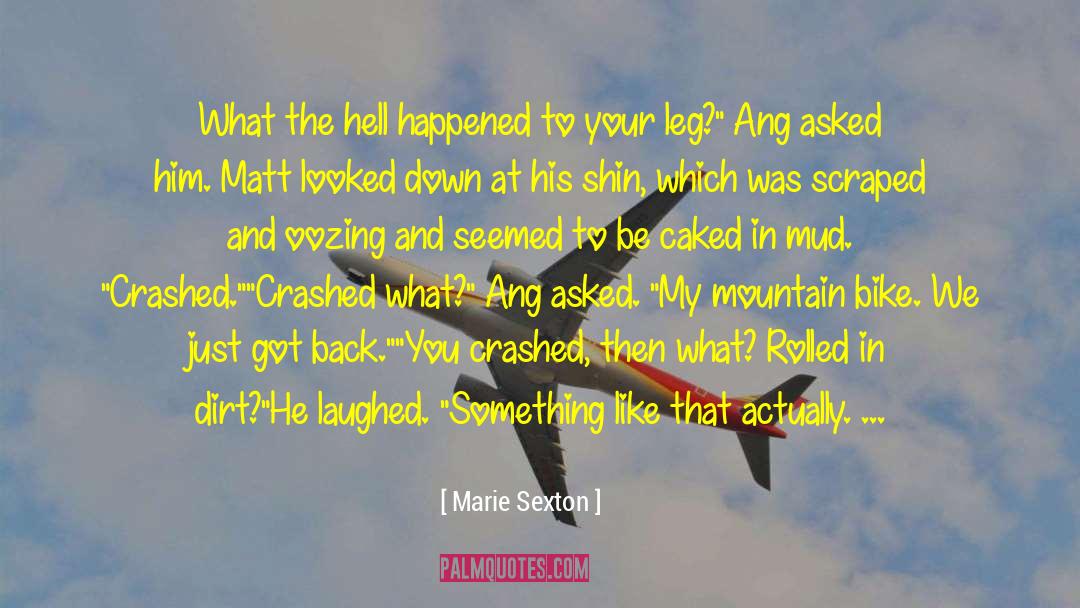 Marie Sexton Quotes: What the hell happened to
