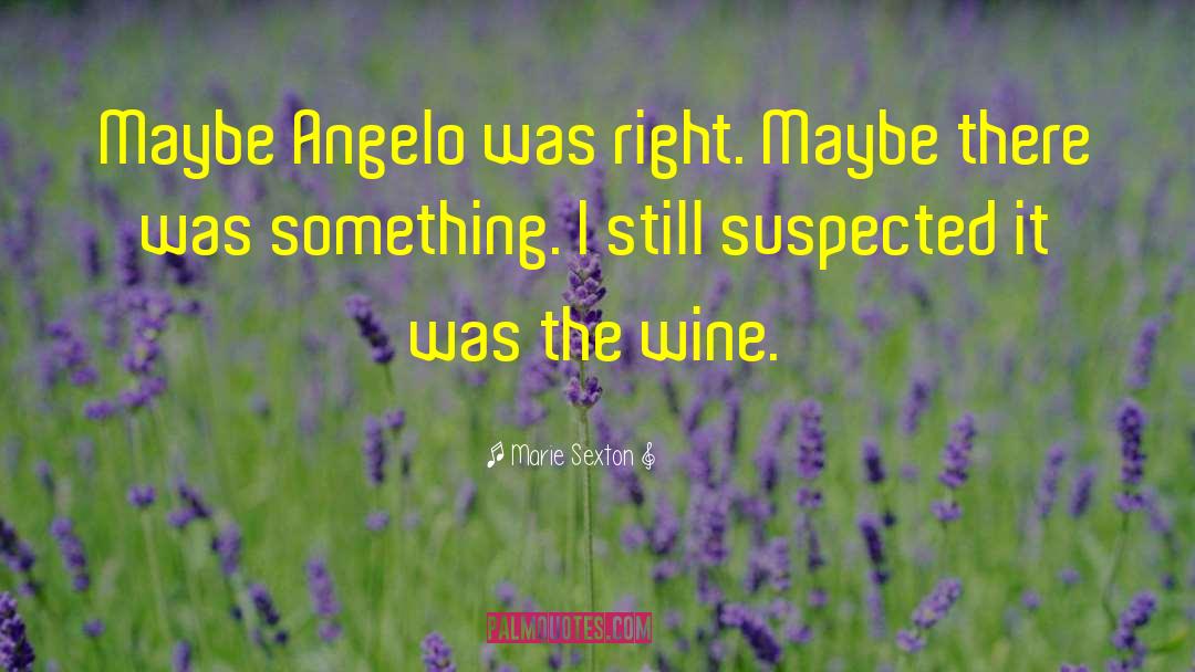 Marie Sexton Quotes: Maybe Angelo was right. Maybe