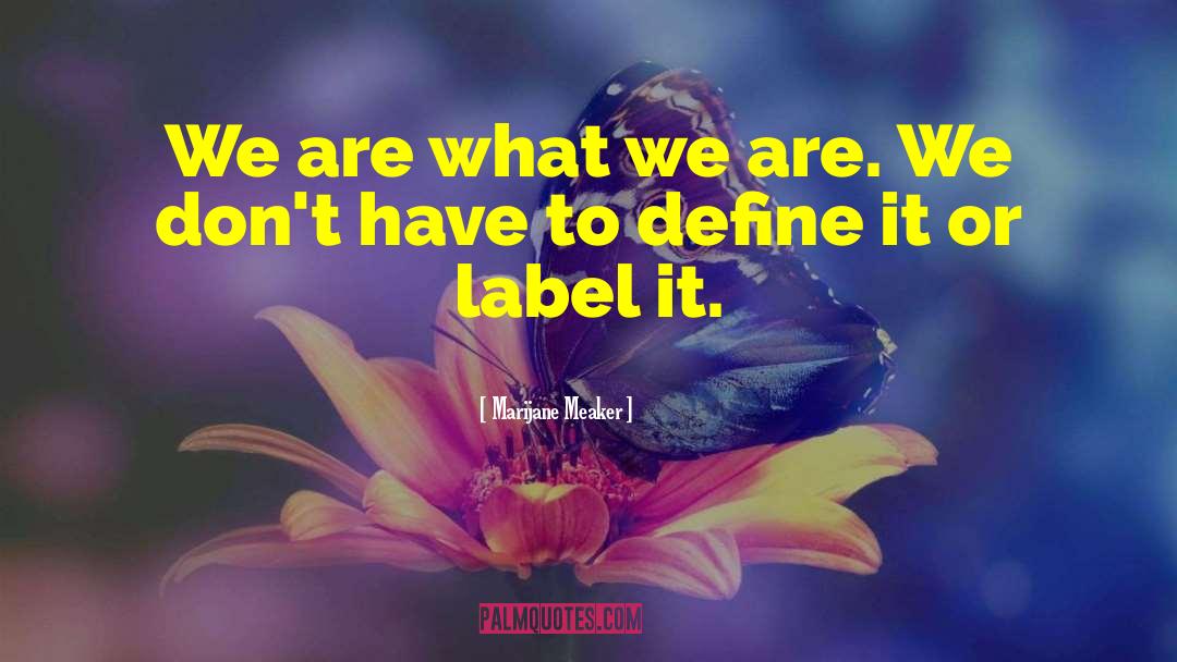 Marijane Meaker Quotes: We are what we are.