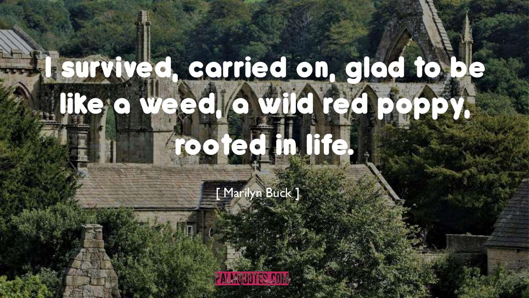 Marilyn Buck Quotes: I survived, carried on, glad