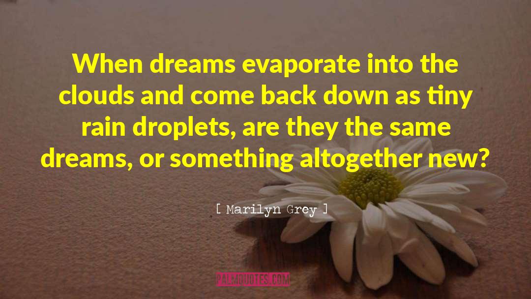 Marilyn Grey Quotes: When dreams evaporate into the