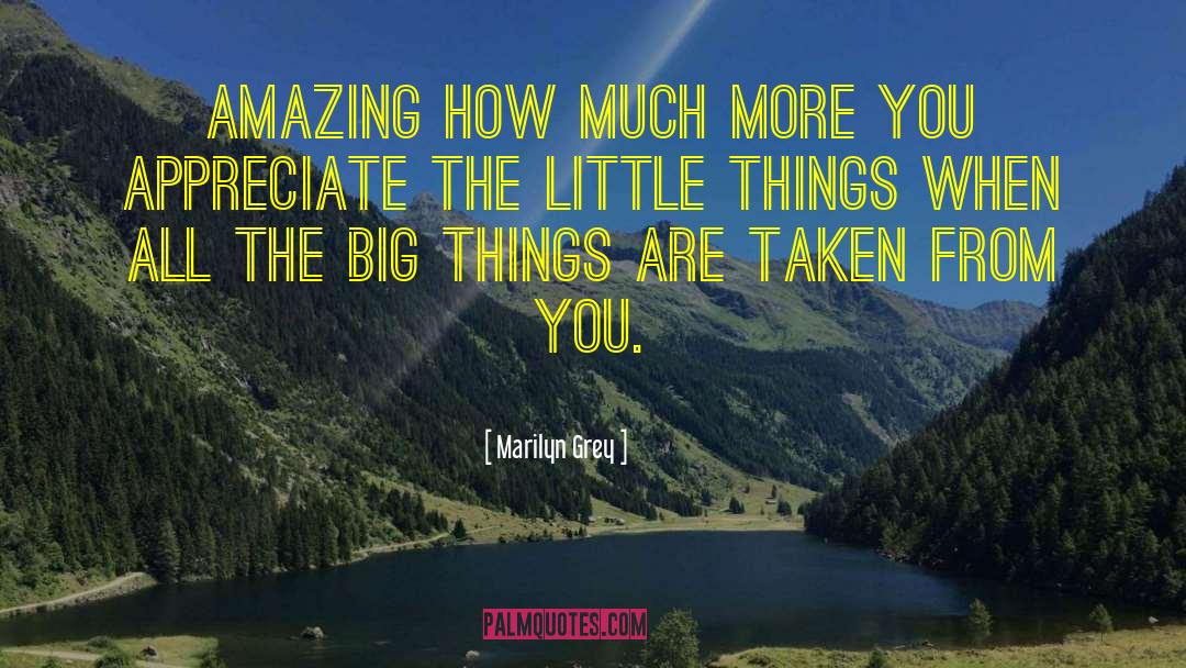 Marilyn Grey Quotes: Amazing how much more you
