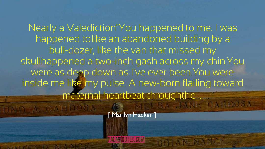 Marilyn Hacker Quotes: Nearly a Valediction
