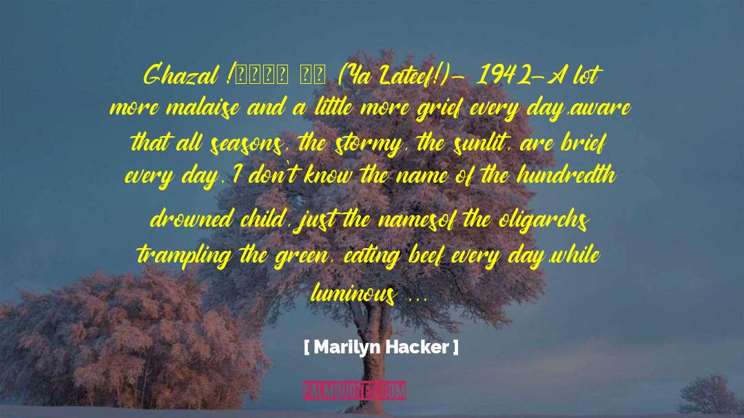 Marilyn Hacker Quotes: Ghazal !يا لطيف (Ya Lateef!)<br