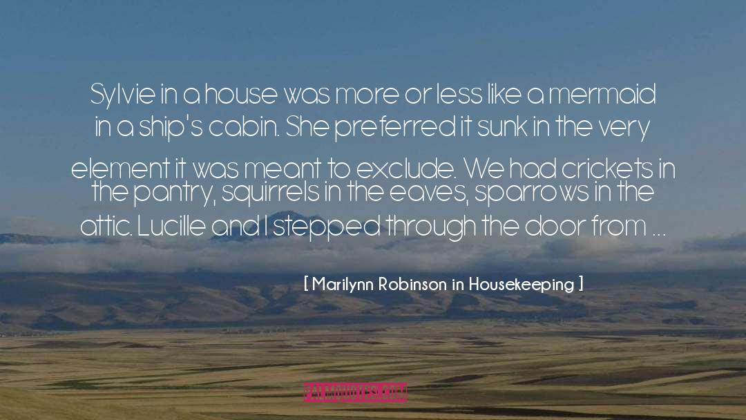 Marilynn Robinson In Housekeeping Quotes: Sylvie in a house was