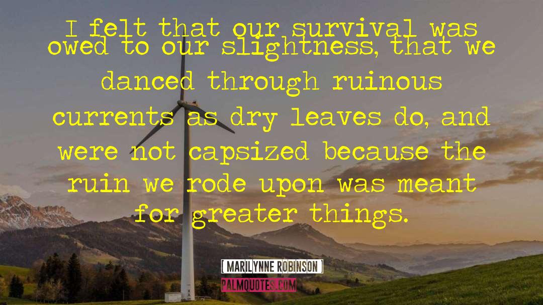 Marilynne Robinson Quotes: I felt that our survival