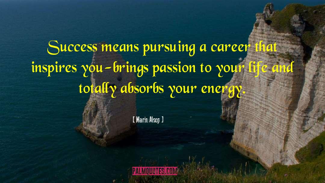 Marin Alsop Quotes: Success means pursuing a career