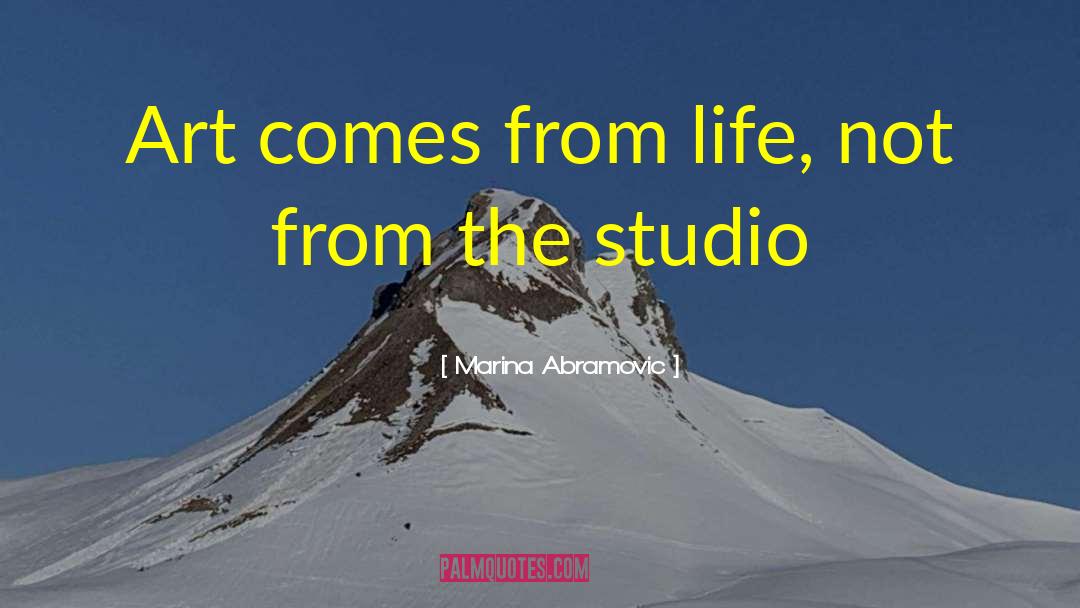 Marina Abramovic Quotes: Art comes from life, not