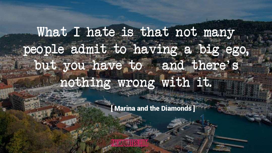 Marina And The Diamonds Quotes: What I hate is that