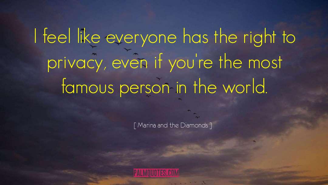 Marina And The Diamonds Quotes: I feel like everyone has